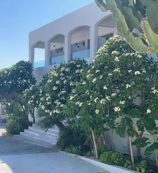 PALS Studios Pefkos