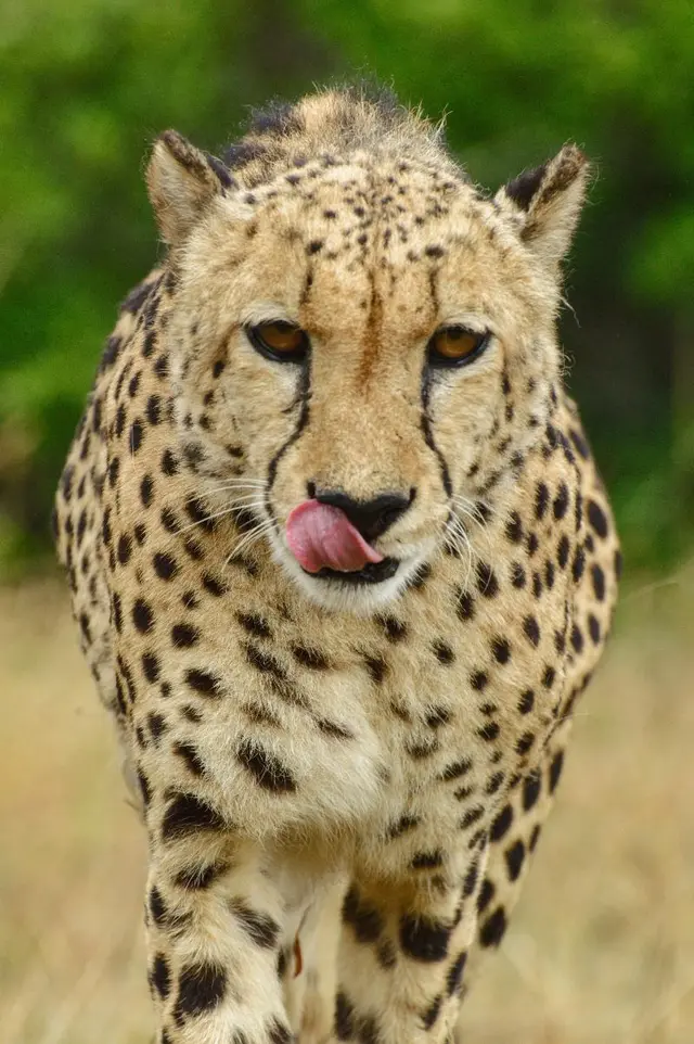 Hopewell Private Game Reserve