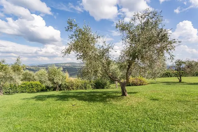 Fattoria Querceto