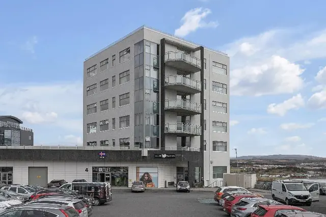 Icelandic Apartments