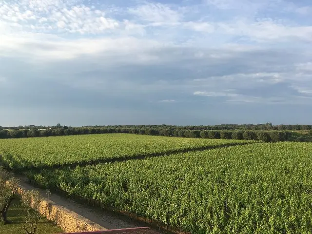Masseria San Polo