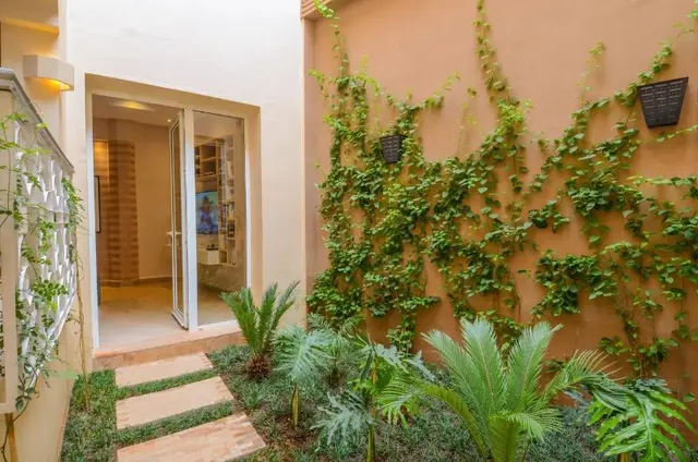 Riad Ayni