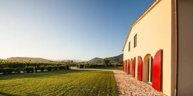 B&B Canova