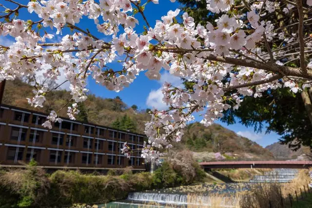 Indigo Hakone Gora