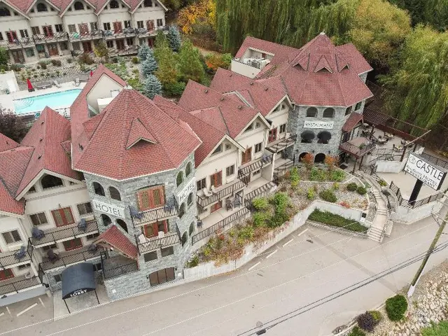 The Castle At Swan Lake