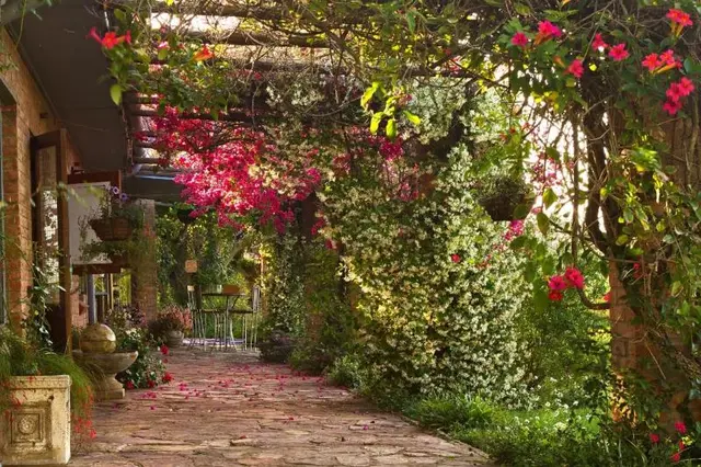 Geralds Gift Guest House