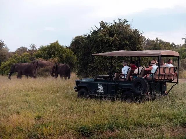 Tshukudu Game Lodge