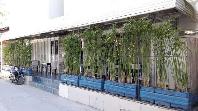 Mecasa Hotel