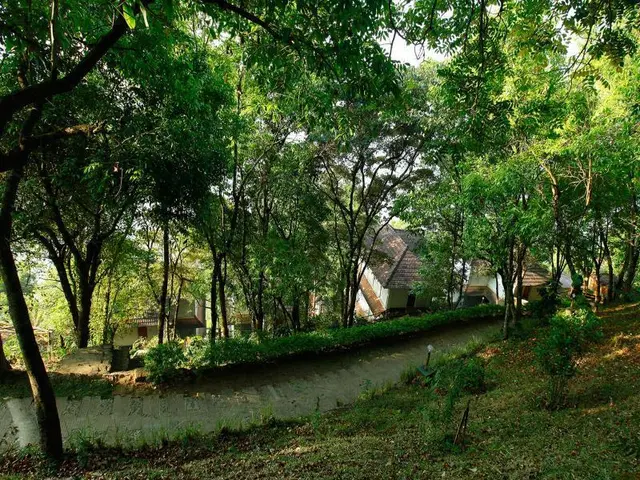 Blackberry Hills Munnar-Nature Resort & Spa