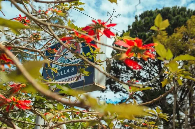 Dalat Train Villa