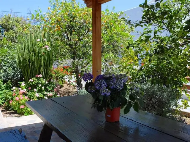 Casa Rural Sofia