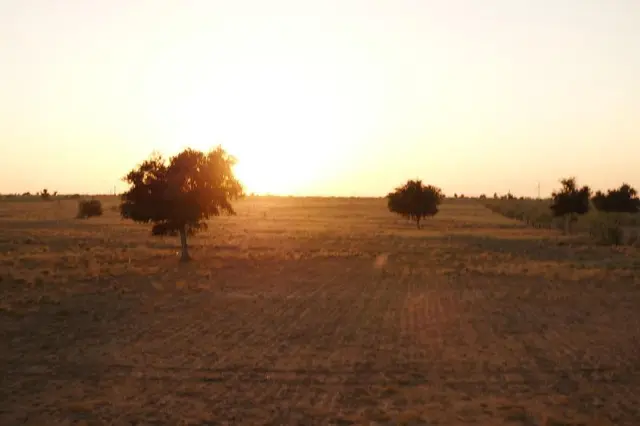 Hotel Garh Jaisal