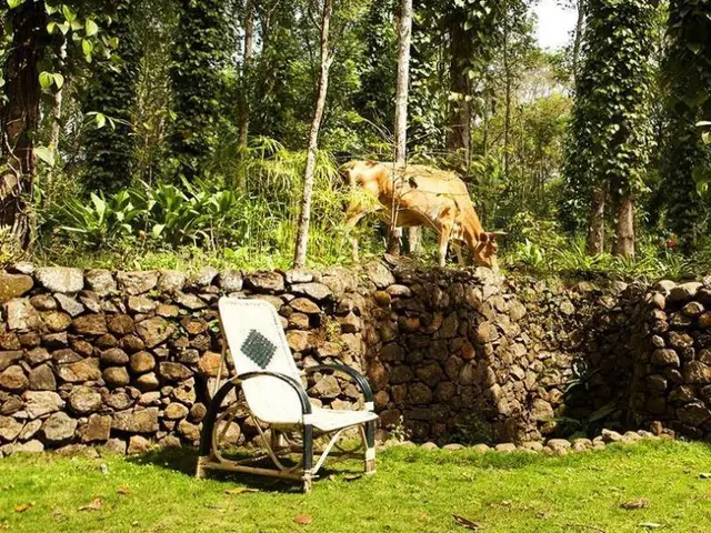 Elephant Valley Eco Farm Lodge