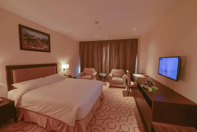 Aristo International Hotel