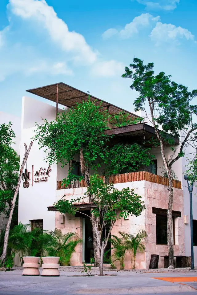 Niik Tulum