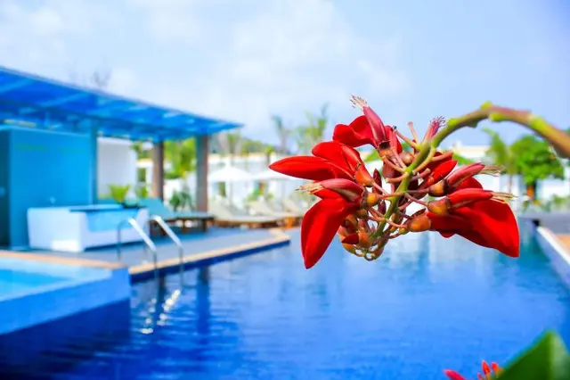 Long Set Resort