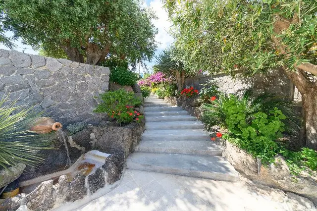 Sorgeto Garden