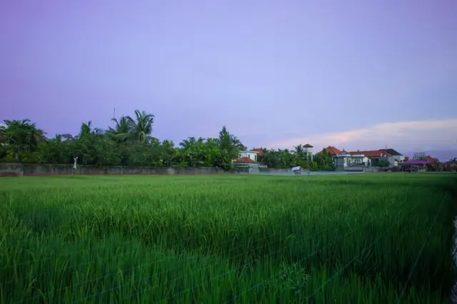The Awandari Villas Seminyak
