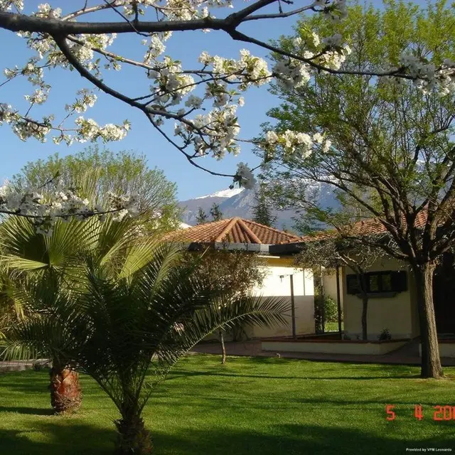 Aliajazzhotel