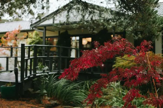 Shizuka Ryokan Japanese Country Spa Wellness Retre