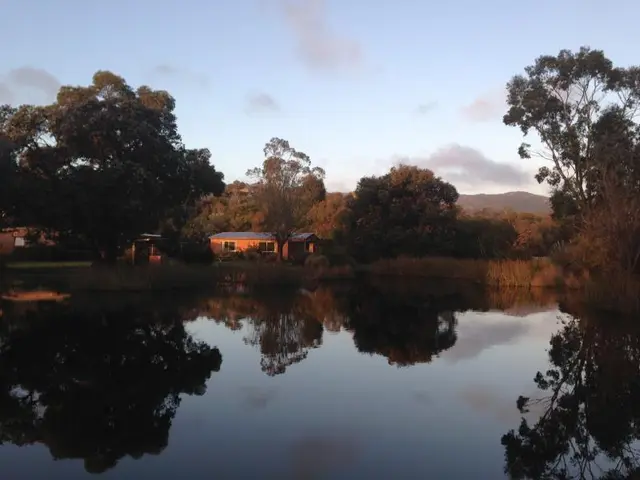 Halls Haven Resort