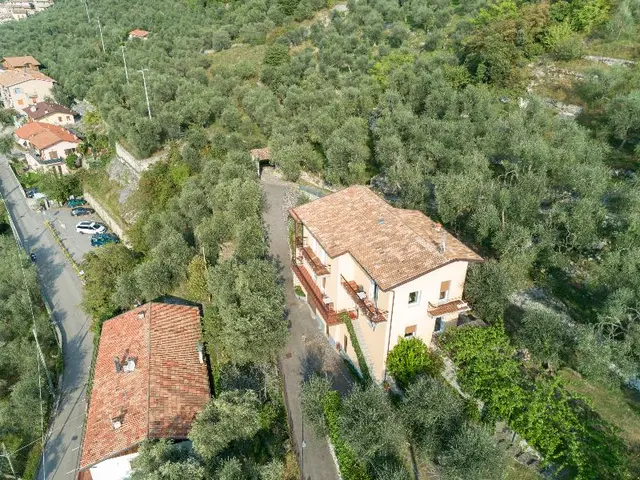 Villa Olivo