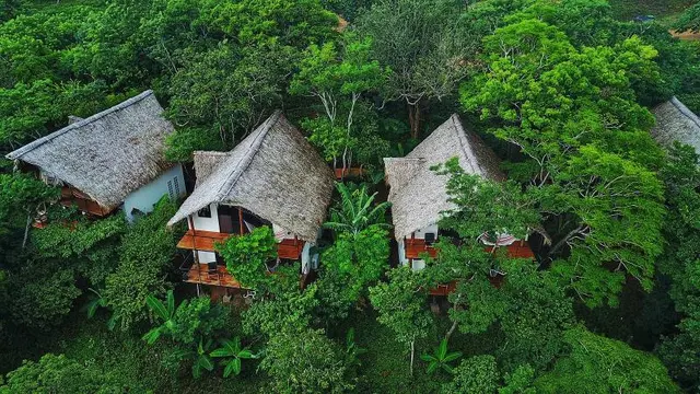 Treecasa Resort
