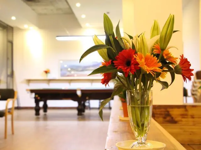 Pingan Travellingwith Hostel