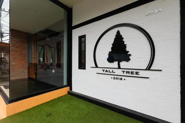 Tall Tree Kata Phuket