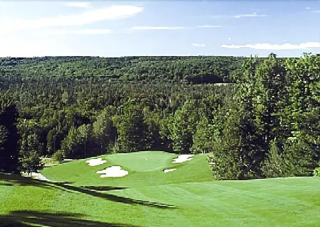 Treetops Resort
