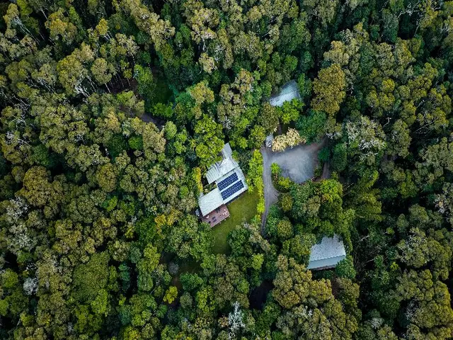 Chambers Wildlife Rainforest Lodges