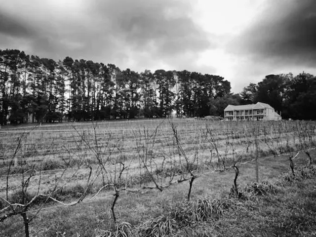Mantons Creek Estate Lodge
