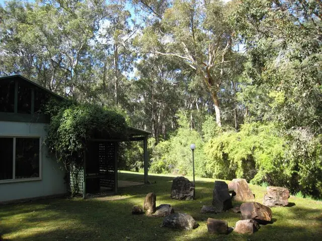 Harmony Forest