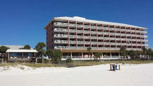 Osprey On The Gulf