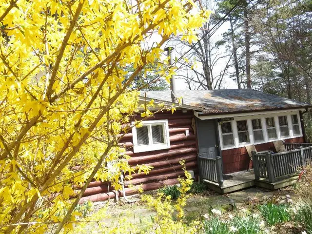Tall Pines Inn