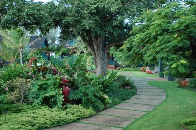 Lumeria Maui
