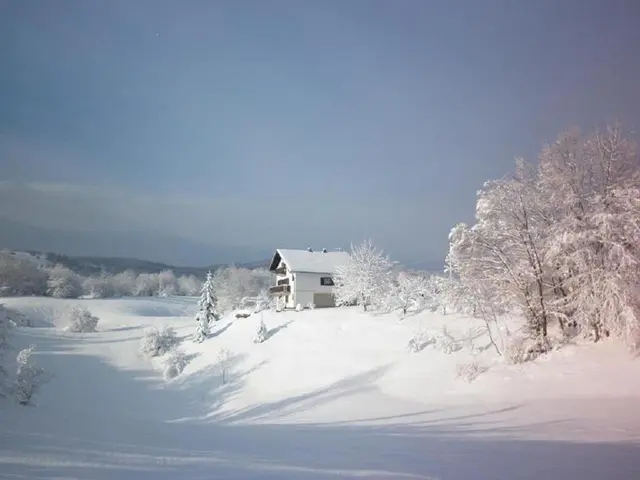 Apartment Milka