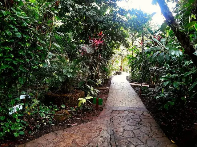 The Maya Mountain Lodge
