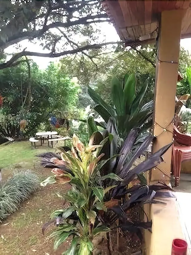 Villa Pacandé