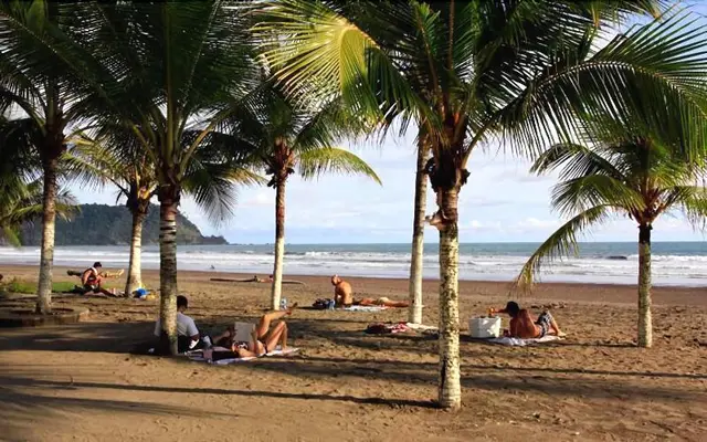 Blue Palm Hotel