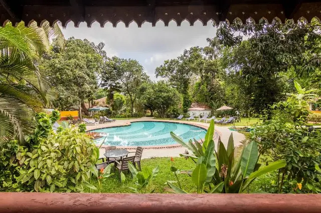 Granpas Inn Bougainvillea