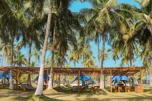 Palmarito Beach Hotel