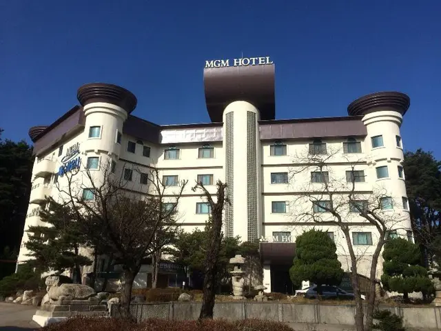 Mgm Hotel