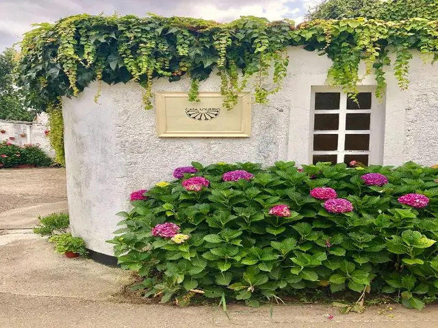 Casa Lourido