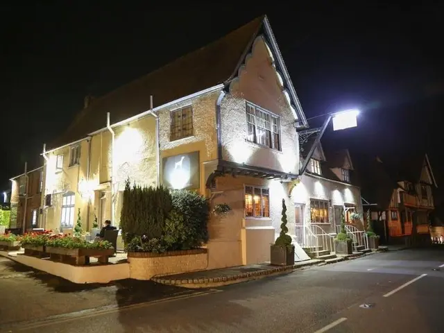 The Dog At Wingham
