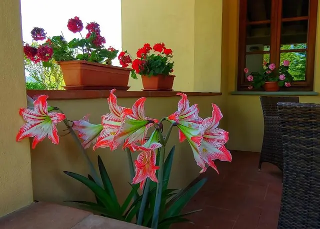 Torrebianca Tuscany