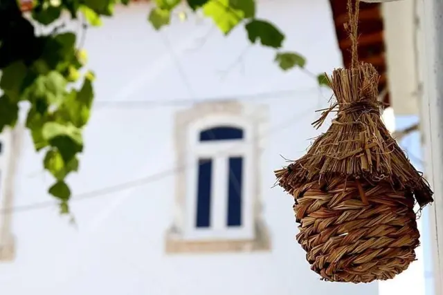 Oryza Guest House & Suites