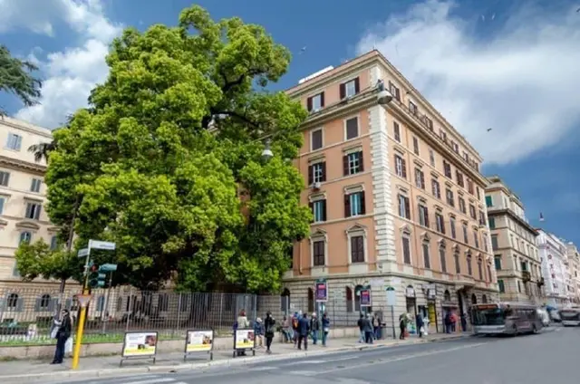 Amoroma Suite