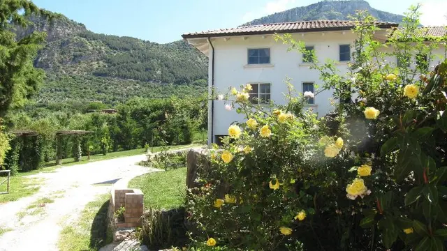 Bed and Breakfast Macchia d'Olmo
