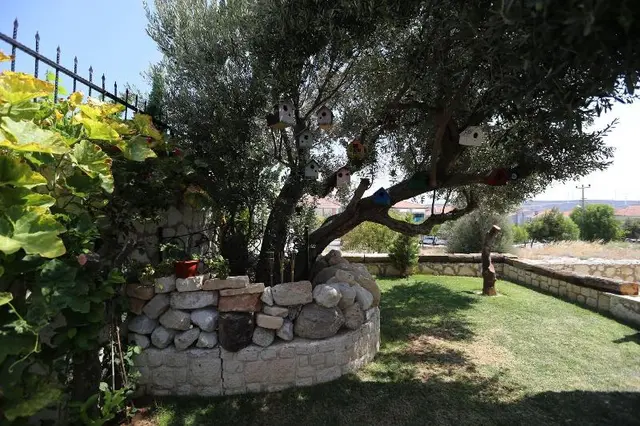 Rüzgar Gülü Hotel